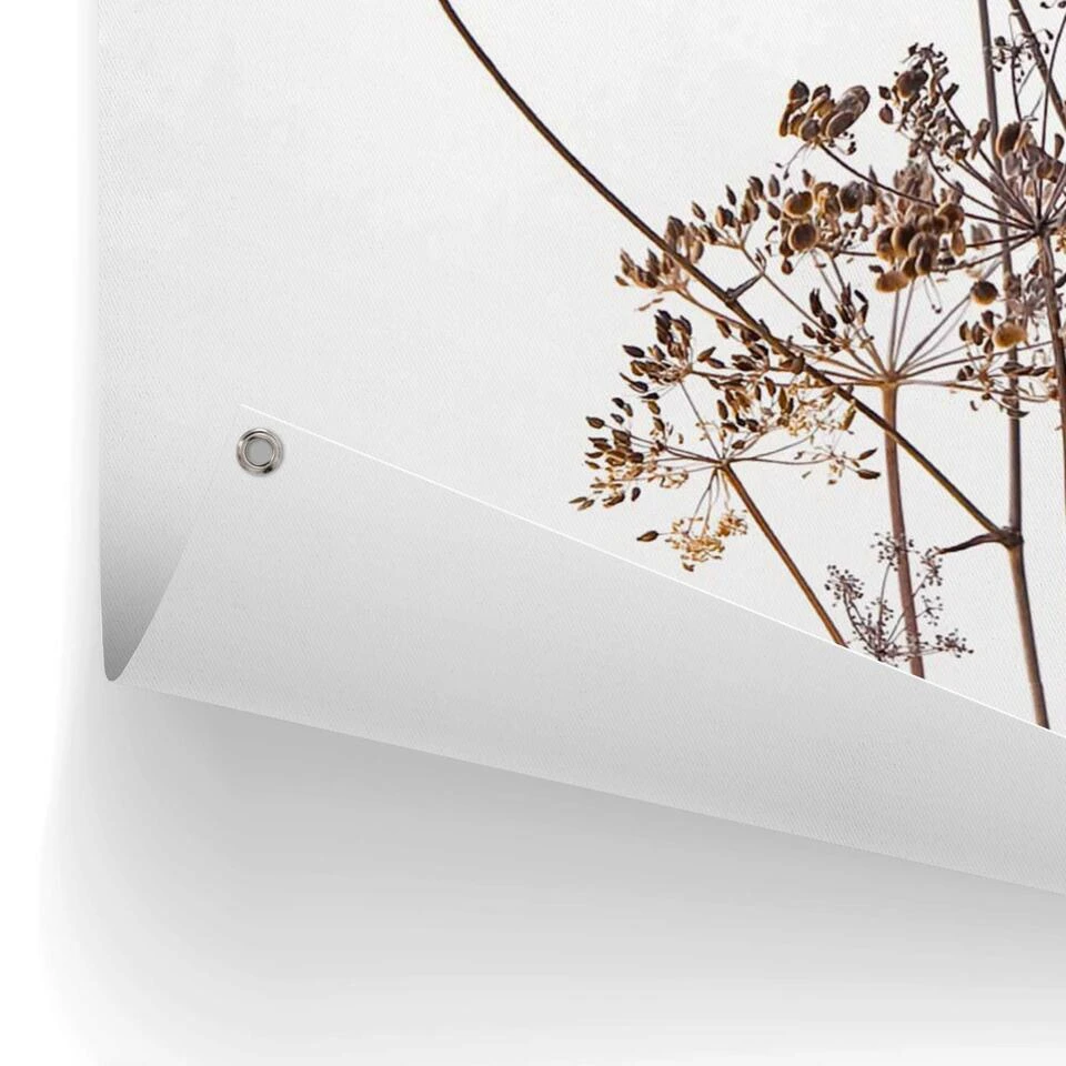 Tuinposter Berenklauw 120x80 Cm Beige Tuinposter Berenklauw 120x80 Cm Beige -Tuinmeubelwinkel 1000006198 0102