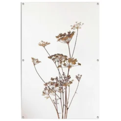 Tuinposter Berenklauw 120x80 Cm Beige