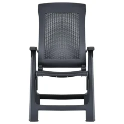 VidaXL Tuinstoelen 2 St Verstelbaar Kunststof Antracietkleurig 2 VidaXL Tuinstoelen 2 St Verstelbaar Kunststof Antracietkleurig -Tuinmeubelwinkel 1000006340 0102